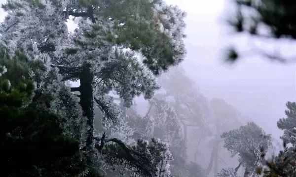 了解长沙的青旅与泰国的青旅相比,哪一个更好?,加入知识星球平台