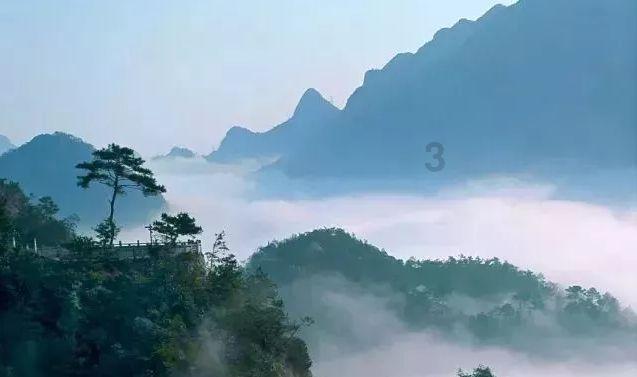 奥迪Q5L十大缺点?-专业有问必答平台