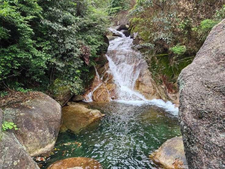 救援青龙