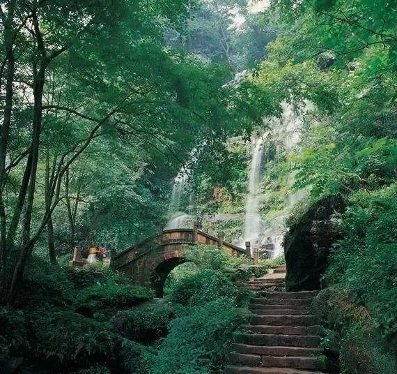 藤壶是什么？为什么很多海洋生物和船舶很怕藤壶？游戏画面