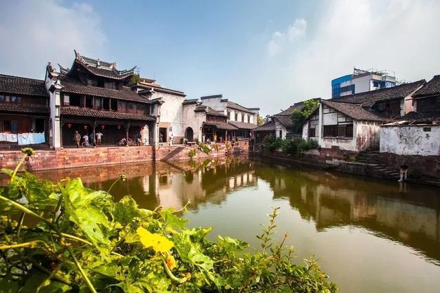 男篮再曝丑闻，姚明遇大麻烦，多名国手坐实，杨瀚森或受影响