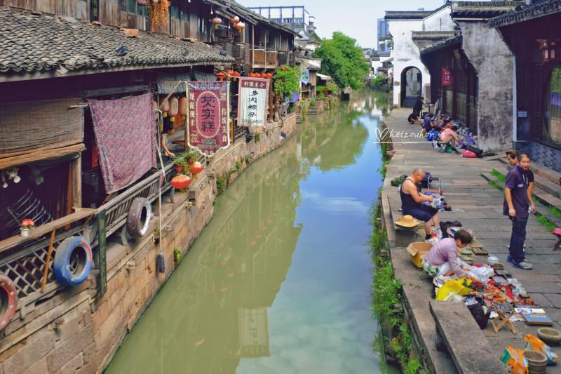 小僵尸射飞鸟